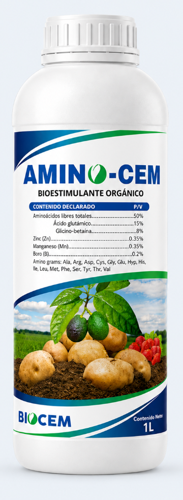 Envase completo de AMINO-CEM