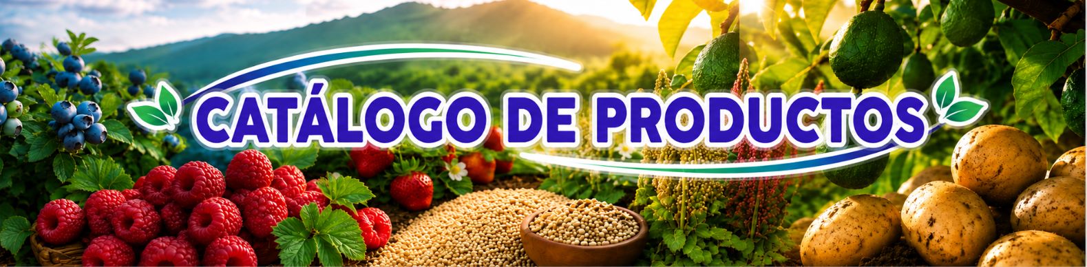 Banner de catálogo de productos con frutos, cultivos y paisaje agrícola