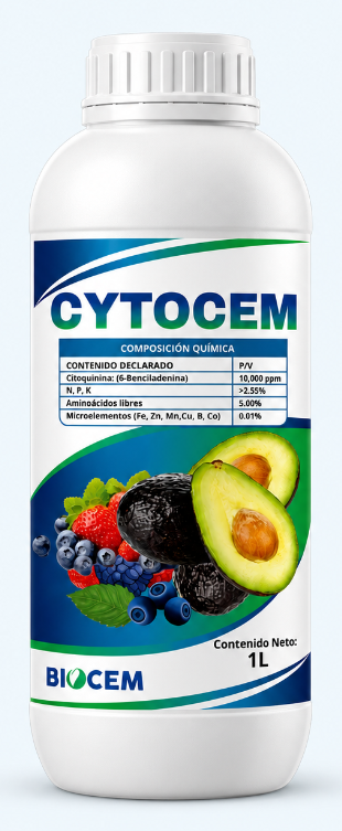 Envase completo de CYTOCEM
